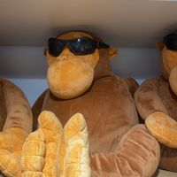 動物🐒🐼🐸