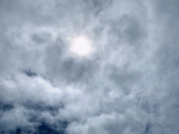 「花蓮旅遊」花蓮租車三天二夜輕旅行自駕遊，盛夏消暑追鯨趣-花蓮永宬租車，老時光燒肉酒肴，欣欣麵館不是麵店，小花公寓民宿與窩WOW青年旅館直擊分享