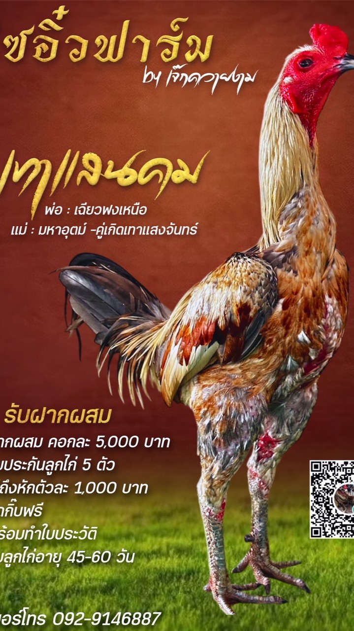 ไซอิ๋วฟาร์ม Byเจ๊ก ควายงาม