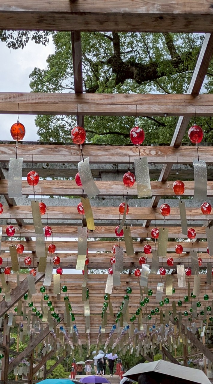 国勢調査(2025) 調査員の本音