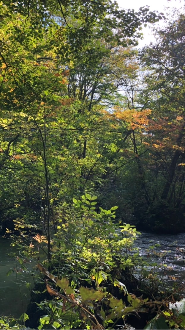 就愛北海道