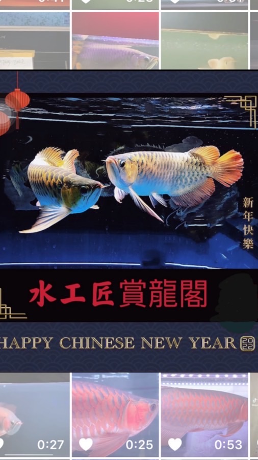 水工匠 賞龍群 🙅本群無瓜可吃 沒事不要進來🙅