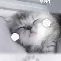 安安の代剪群ིྀྀྀ
