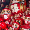 Ken桑日本代購
