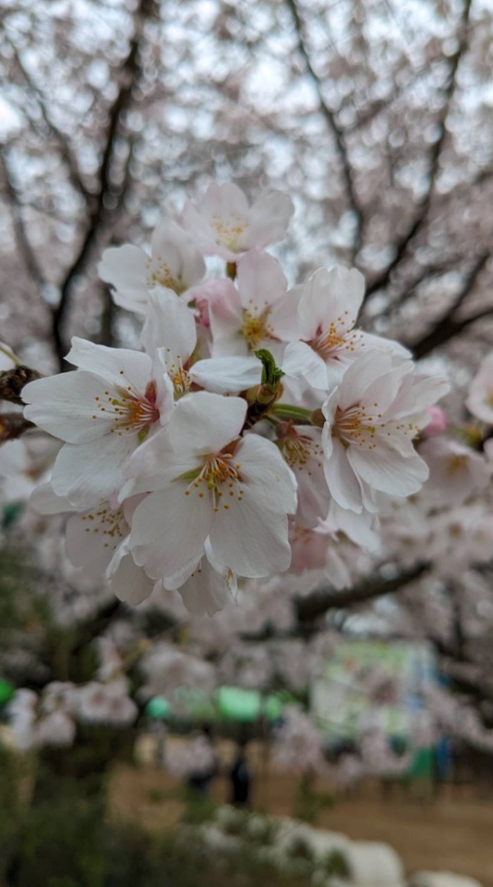 悩みとか、愚痴とか、ここで全部吐いちゃえのオープンチャット