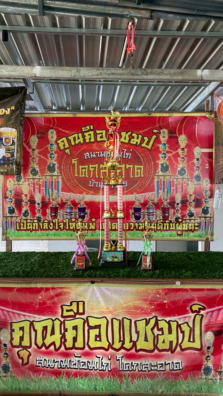 สนามชมรมไก่ชนโคกสะอาด🐓