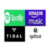 台灣無損音樂串流音響交流群( Tidal  / Spotify /  Qobuz/ Amazon)