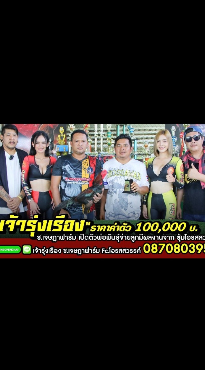 ​เจ้ากองเงิน/เจ้ารุ่งเรือง ช.เจษฎา​ฟาร์ม​