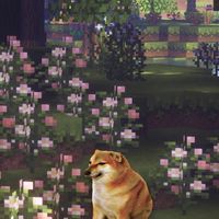 愚痴オプ