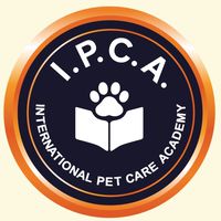 IPCA國際寵物照護學院交流群