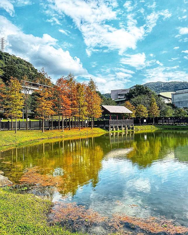 （圖片來源IG／@ jiying_tseng）