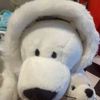 西小  學生群（歡迎加入）