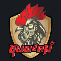 ซื้อ-ขาย พัฒนาไก่ชนภาคใต้
