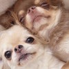 朝起きれない＊HQ緩ハント
