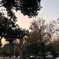 StarryParis法國代購