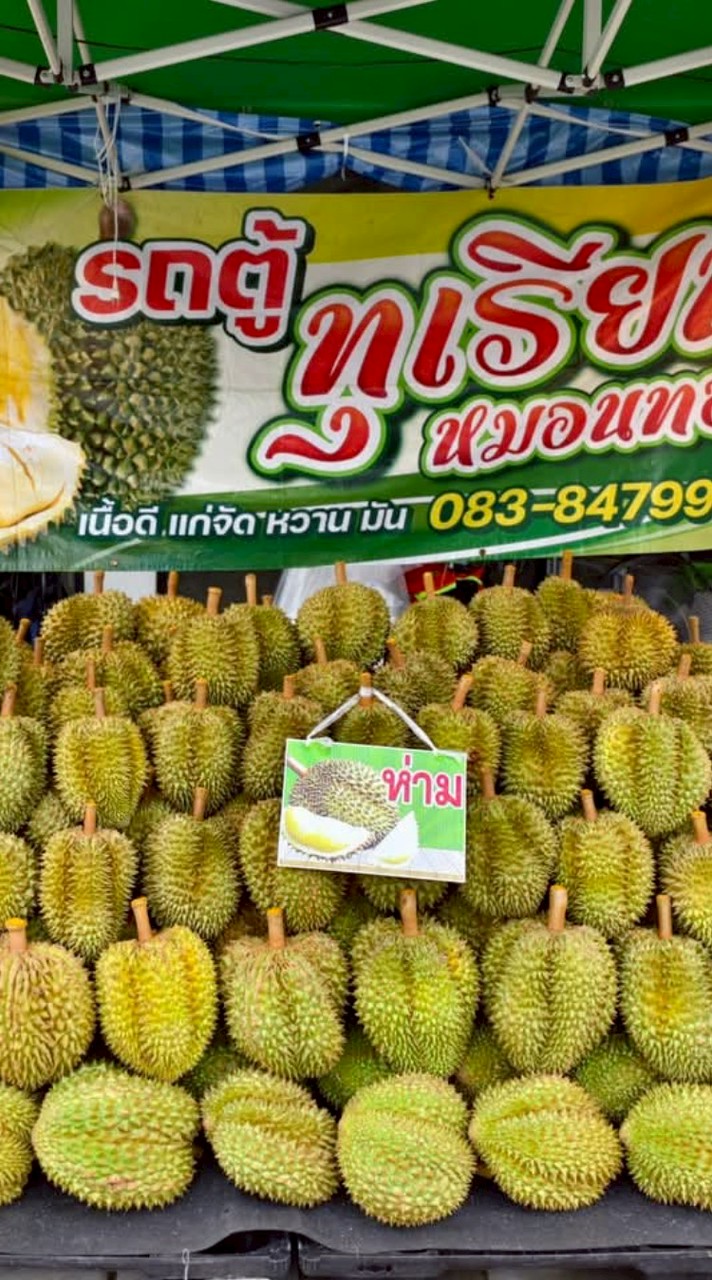 รถตู้ทุเรียน หมอนทอง