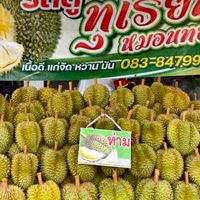 รถตู้ทุเรียน หมอนทอง