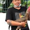 ซุ้ม เพชรบิ็กเอ็ม พม่าสายตีกระดูก