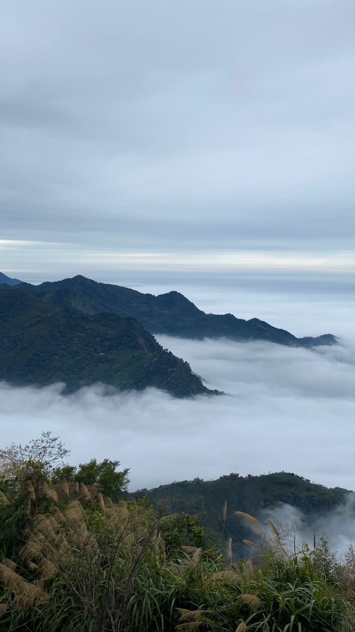 🎉批發群🎉