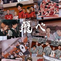排球少年對戲群