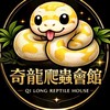 奇龍球蟒交流QI LONG REPTILE HOUSE