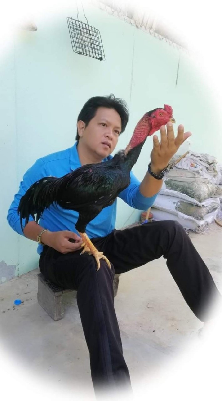 ชมรมอนุรักษ์ไก่พื้นเมืองตำบลบ้านกง