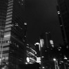 秘密       ノ      合言葉       。