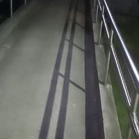 無性戀群眾