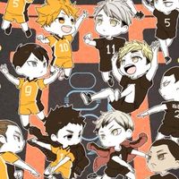 ハイキューなりきりオプ！