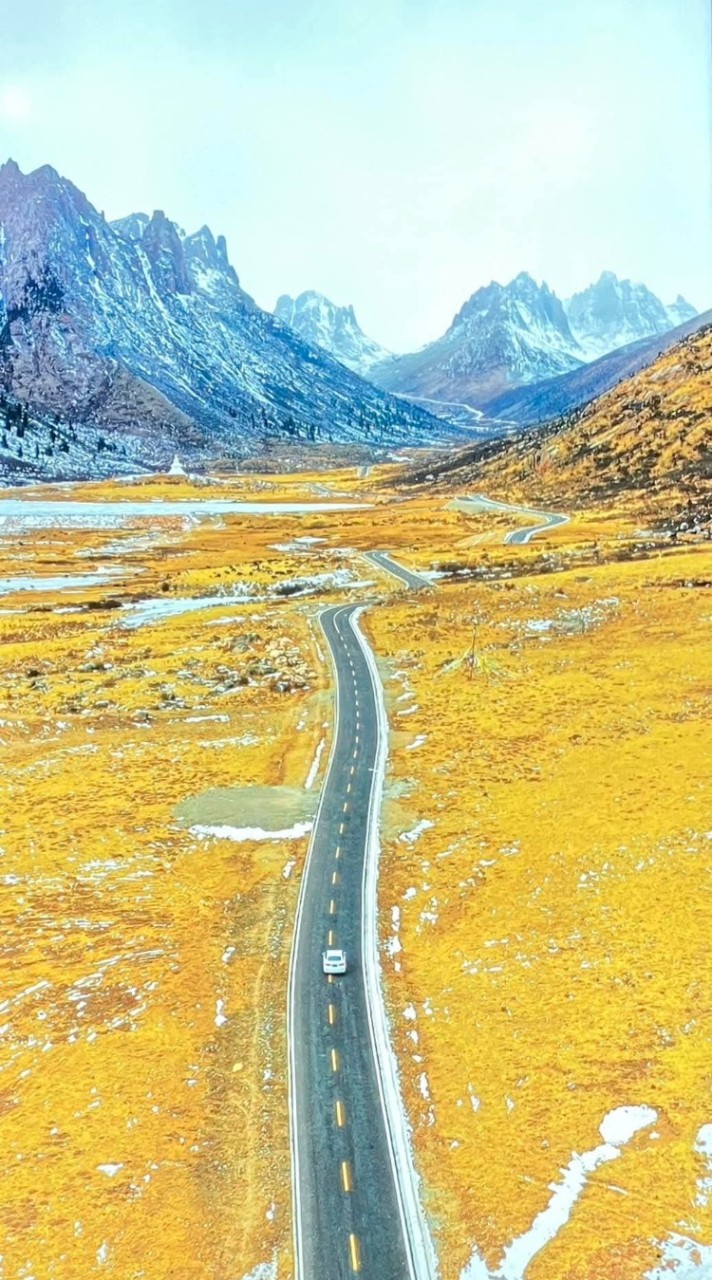 跟著何導去旅行
