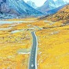 跟著何導去旅行