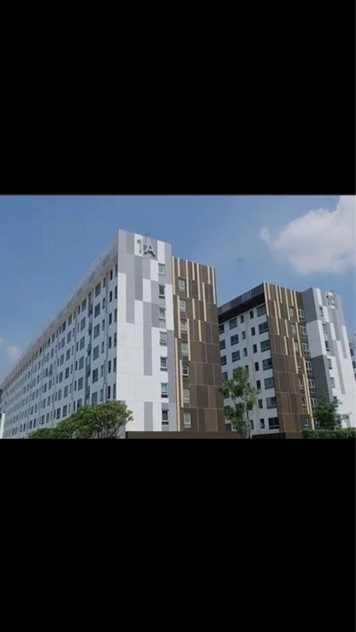 แจ้งข่าวในPlum 89