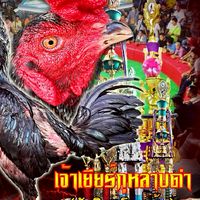 ซุ้มไก่ชน.อ.อนันต์ฟาร์ม ก.ก๊อปไก่ชนฟาร์ม