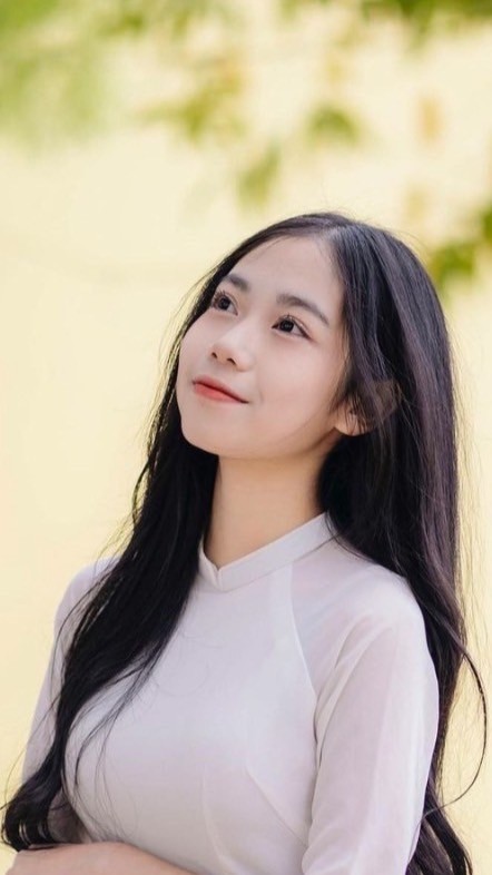 台灣人在越南（Taiwanese in Vietnam )