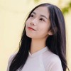 台灣人在越南（Taiwanese in Vietnam )