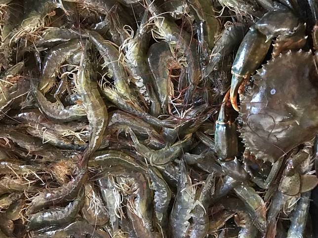 ▲新鮮蝦蟹（圖/奧丁丁市集）