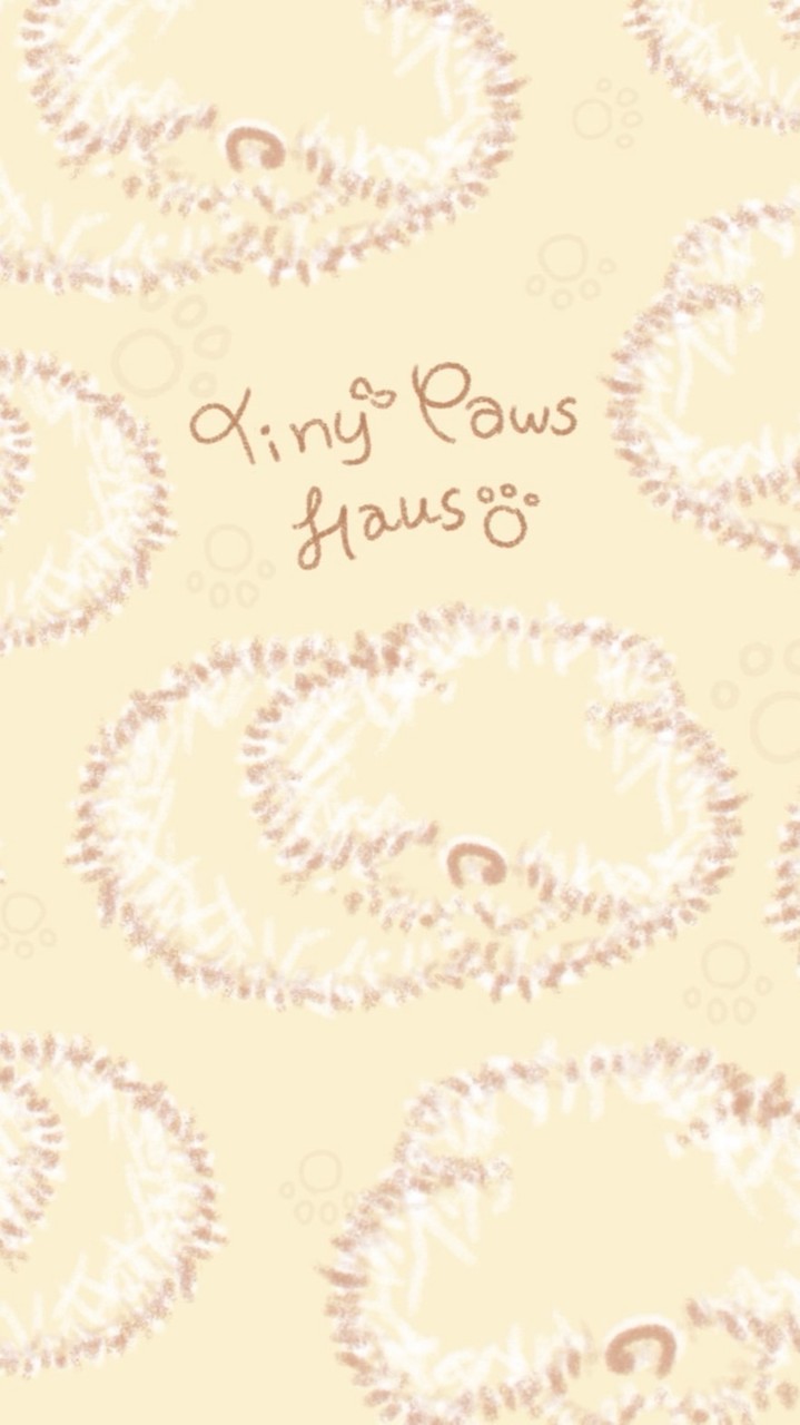Tinypaws.Haus🏠🐶🐾 Premium Quality Korea puppies