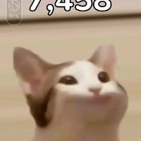 คูมเพื่อน=^=