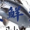 🐟魚鮮生🐟