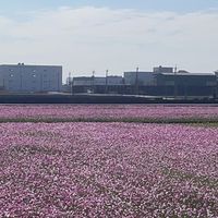 30+來亂的