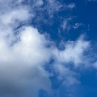 学生の人集まれぇー！雑談オプ【学生限定】