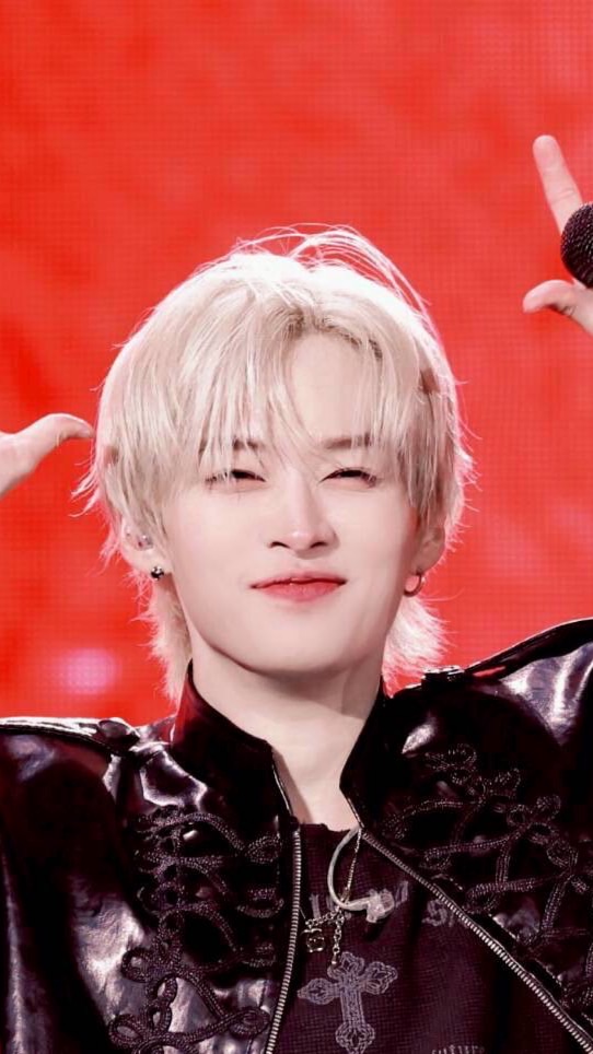 StrayKids🐰リノ🐰担集合〜‼️