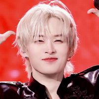 StrayKids🐰リノ🐰担集合〜‼️