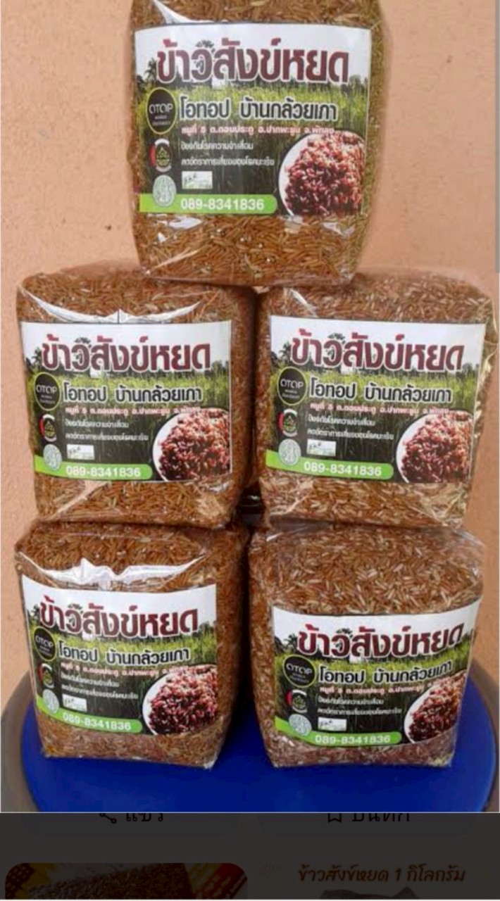 ร้านค้า Pi จ.พัทลุง