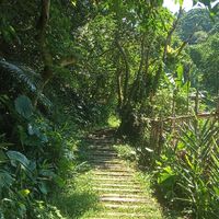 115S-新北土城天母宮歌友會