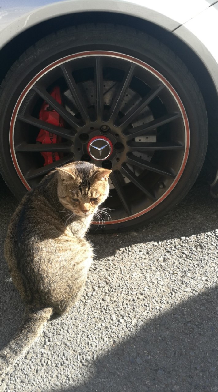 お猿の部屋のオープンチャット