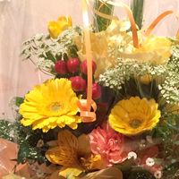 湘南96代イエロー