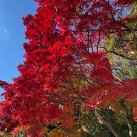 お片付け&潜在意識で豊かさを拡大