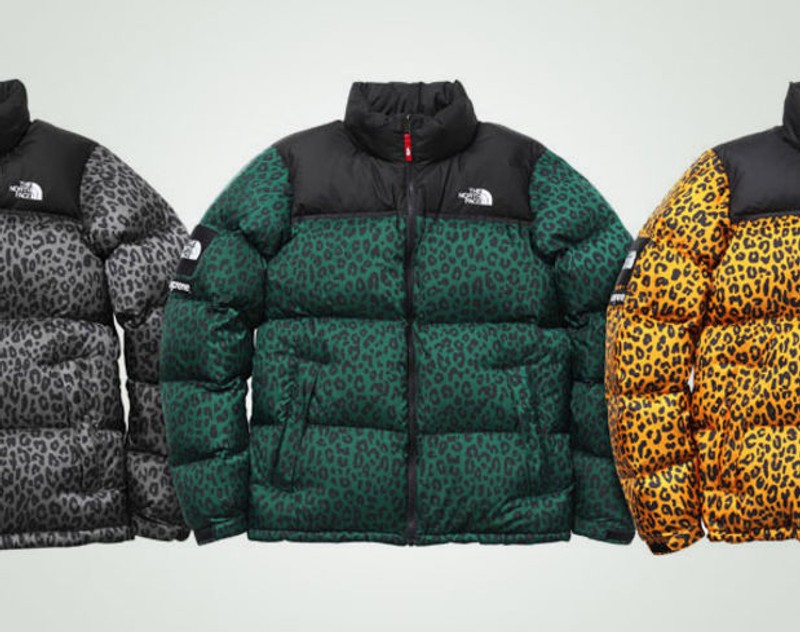 supreme north face summit series
