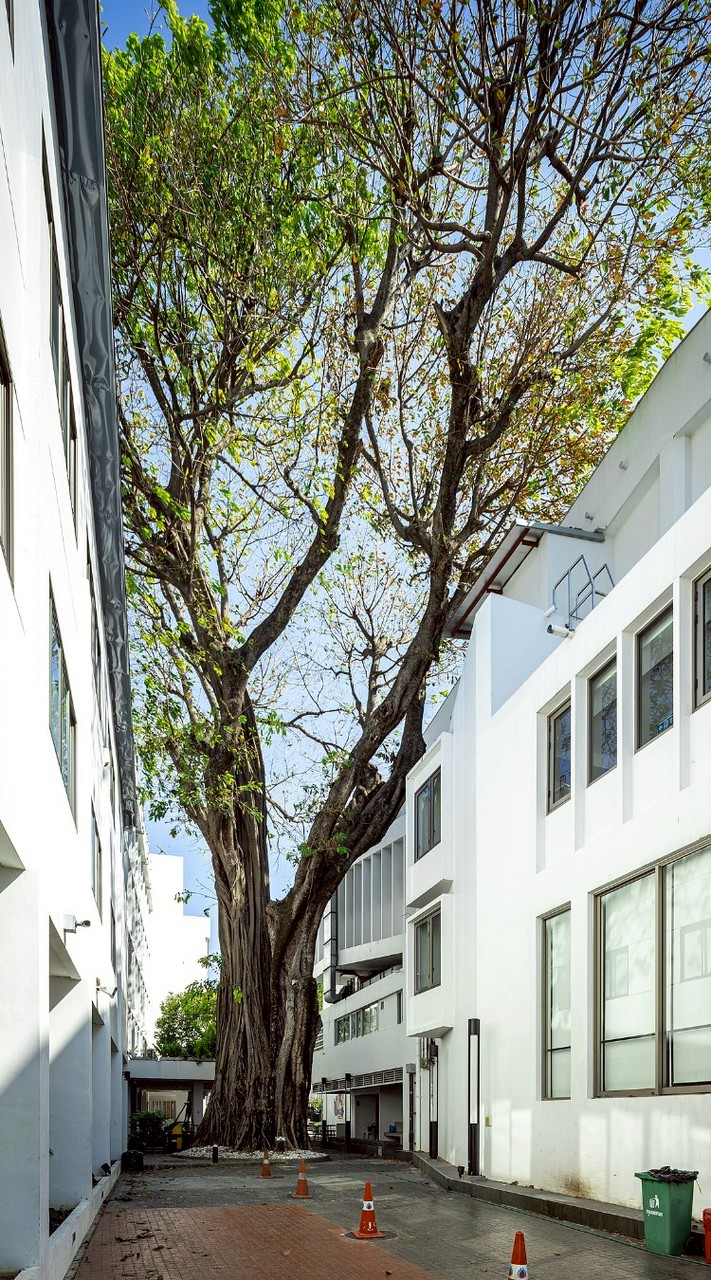 สายรหัสพี่ป้อ 💜🪻